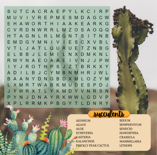 succulents wordsearch